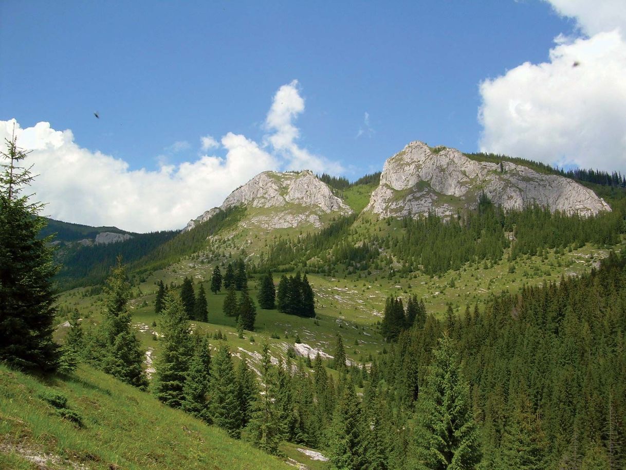 Lugares Apuseni Mountains