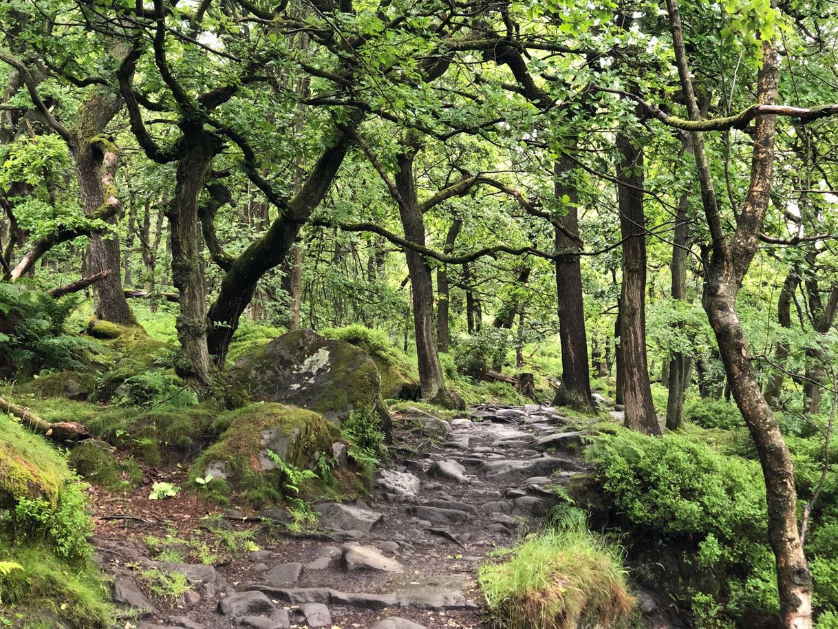 Places Padley Gorge