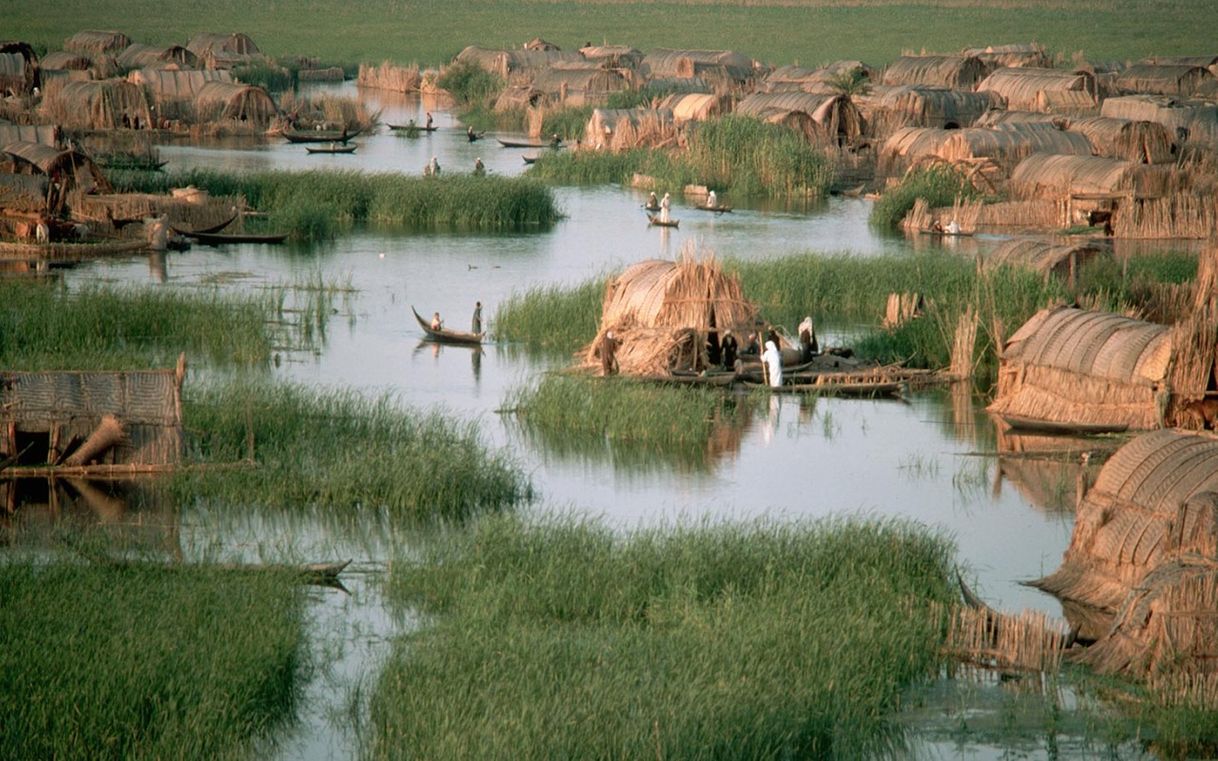 Lugares Safiah Marshes- Majnoon