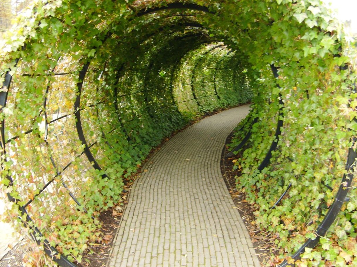 Lugar The Alnwick Garden Poison Garden