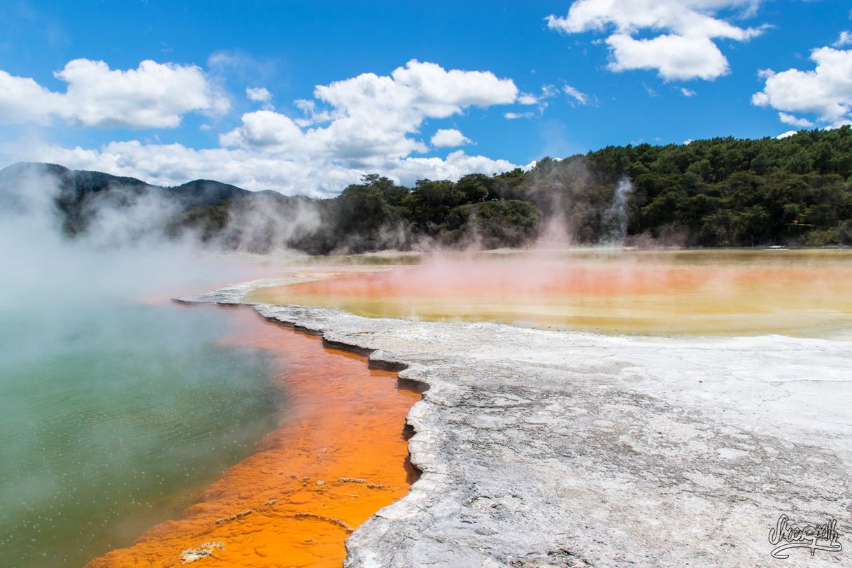 Place Wai-O-Tapu