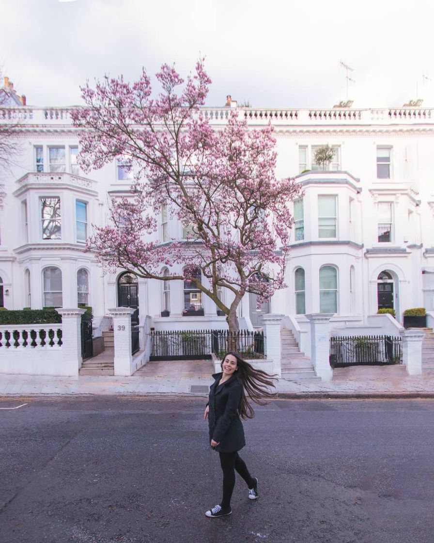 Place 39 Argyll Road