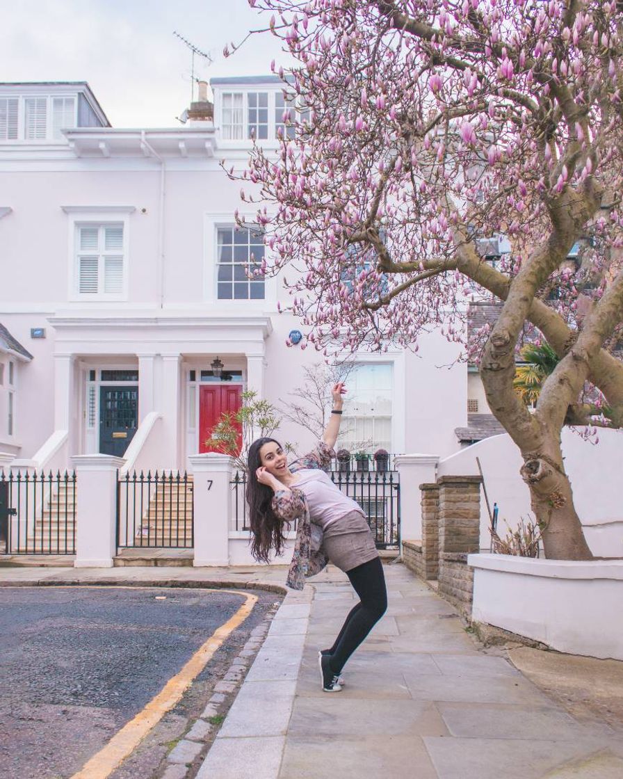 Place 6 Albert Place