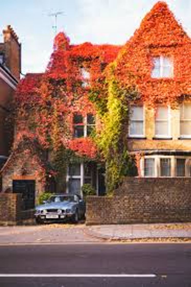 Place 73 Fitzjohn's Avenue