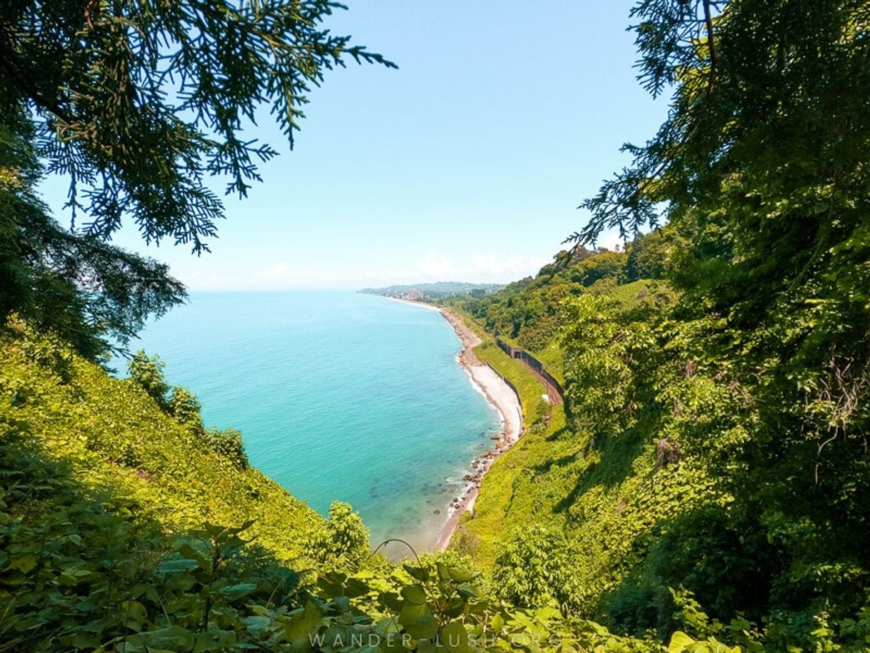 Lugares Batumi Botanical Garden