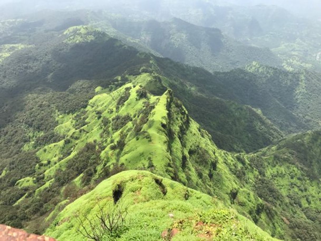 Place Mahabaleshwar