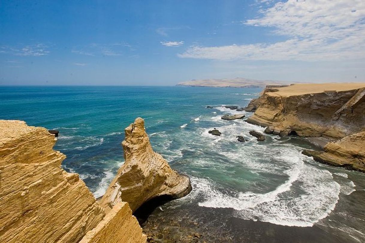 Place Paracas National Reserve