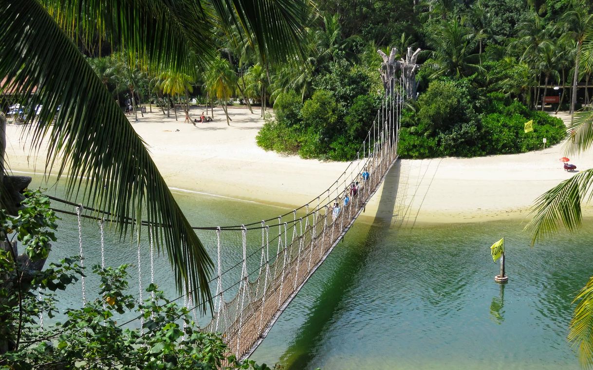 Places Palawan Beach