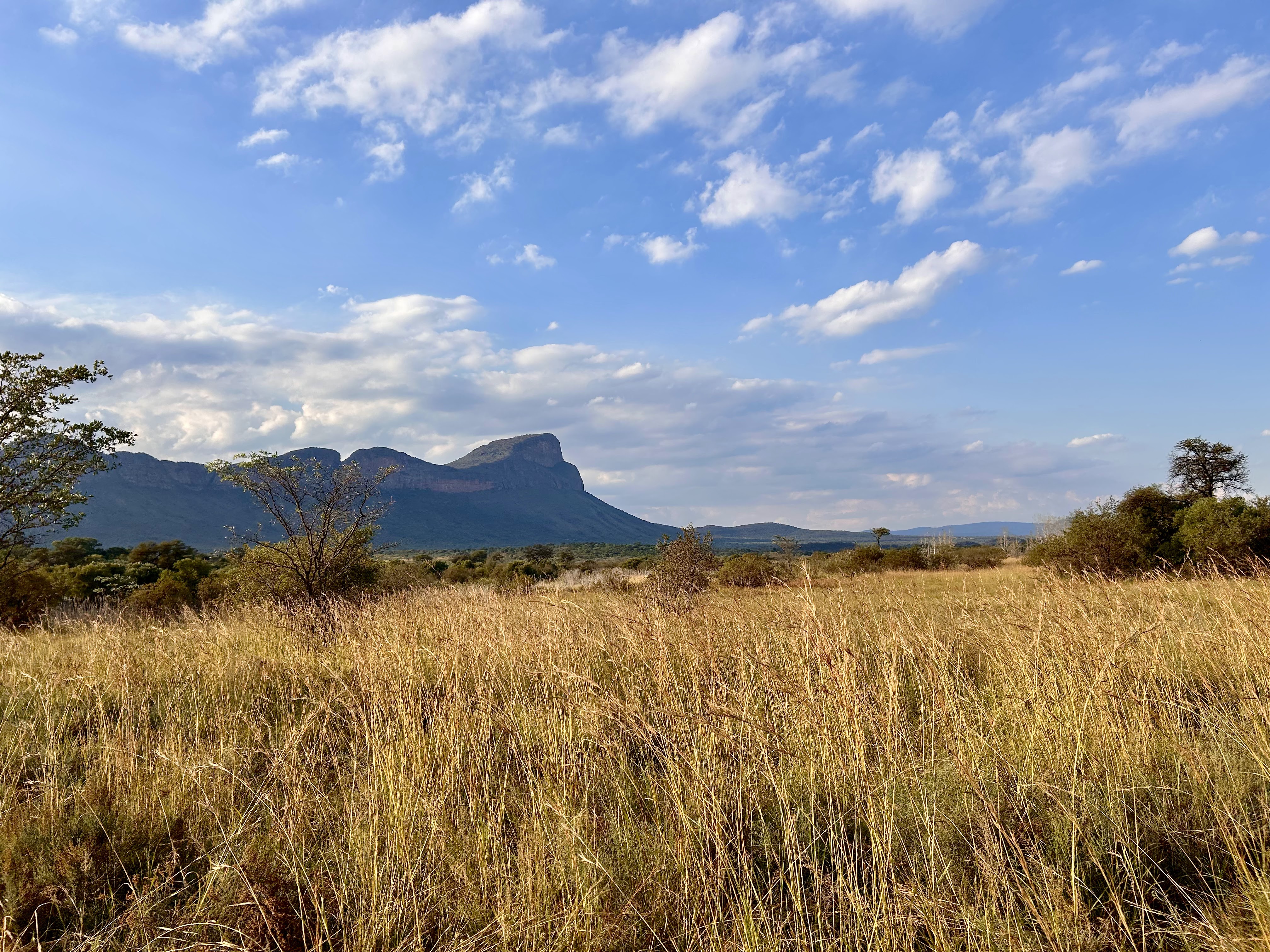 Place Entabeni Game Reserve