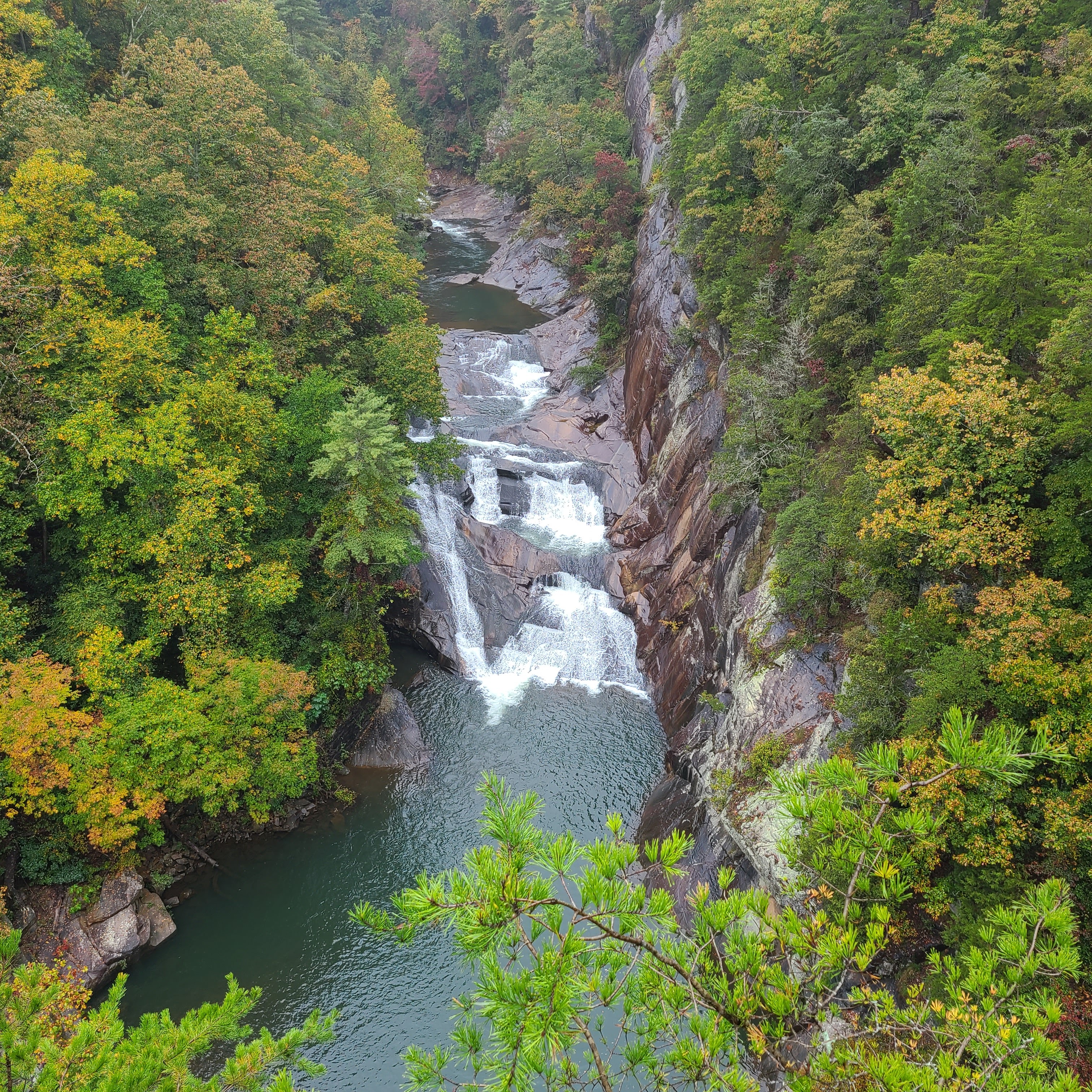 Place Tallulah Gorge State Park