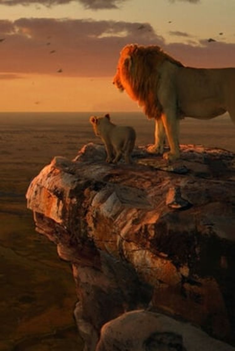 Movie Mufasa: El rey león