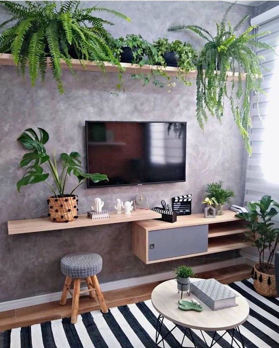 Social Decoração com plantas 🍃