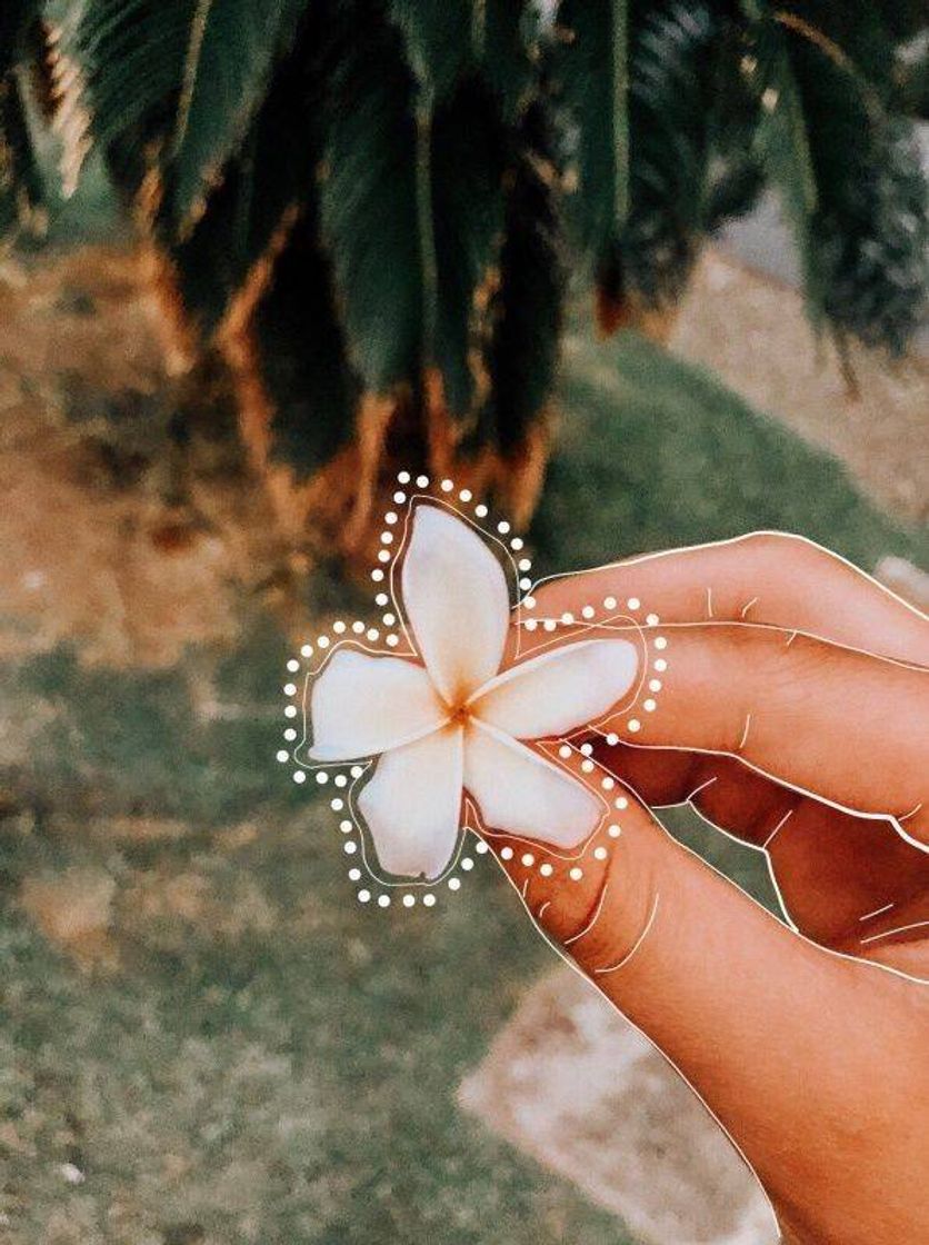 Social Vsco