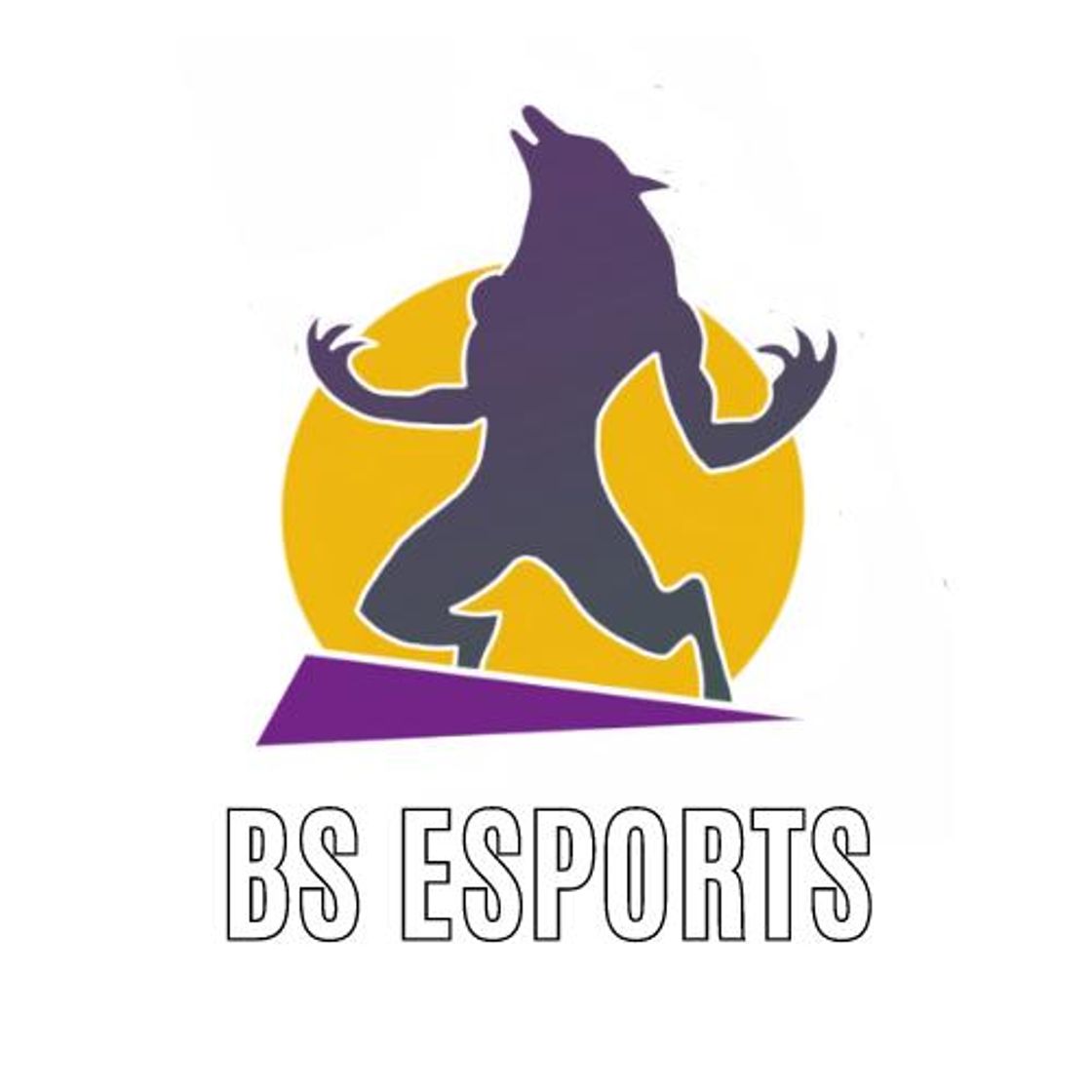 Videojuegos BS ESPORTS