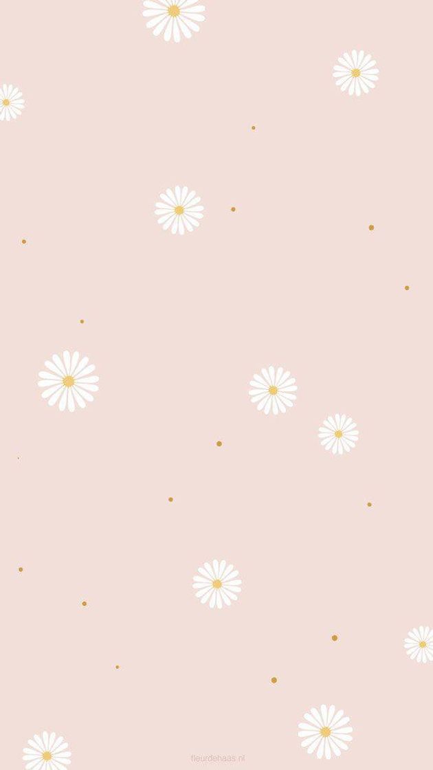 Social Wallpaper bem meigo🌷🥰