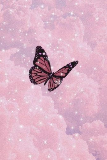 Wallpaper pink aesthetic butterfly 🦋 