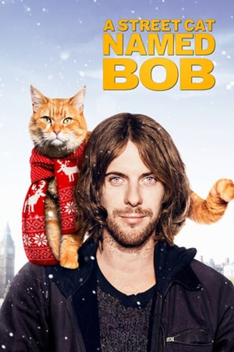 Película Un gato callejero llamado Bob