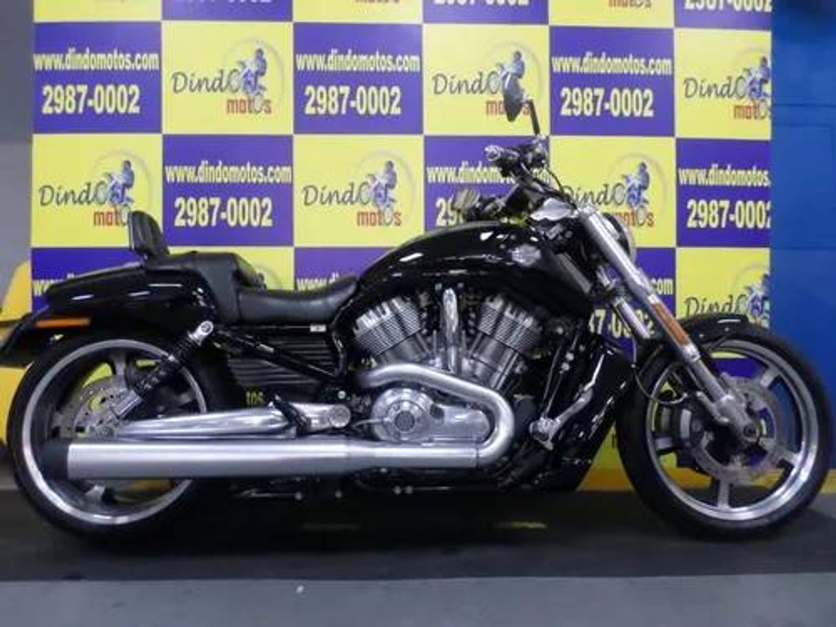 Fashion Harley Davdson V-rod Muscle Review

