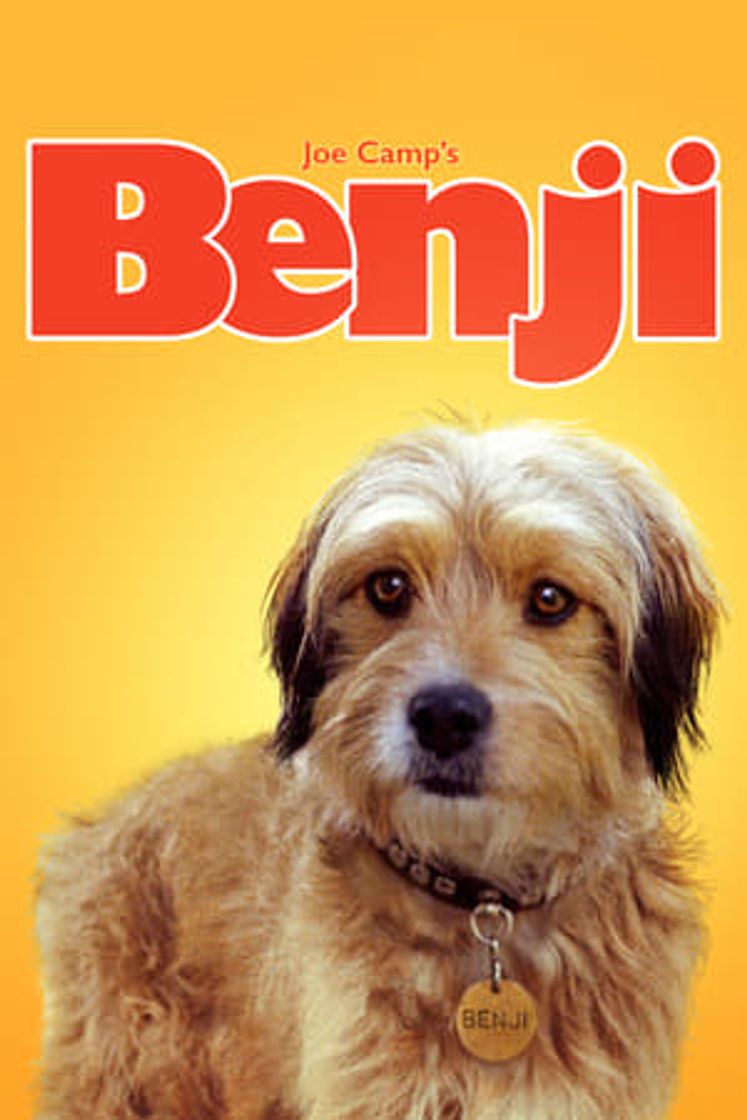 Película Benji