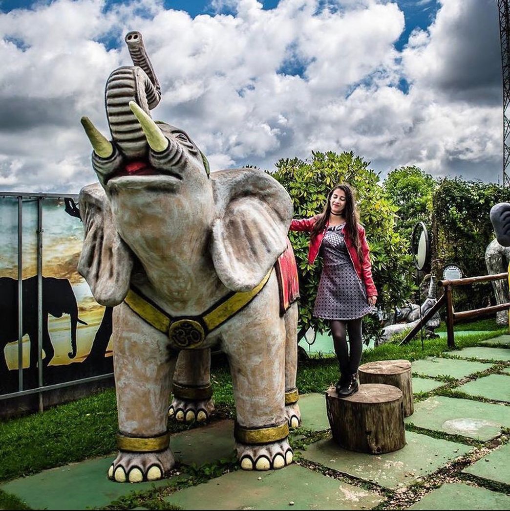 Place Morro do Elefante