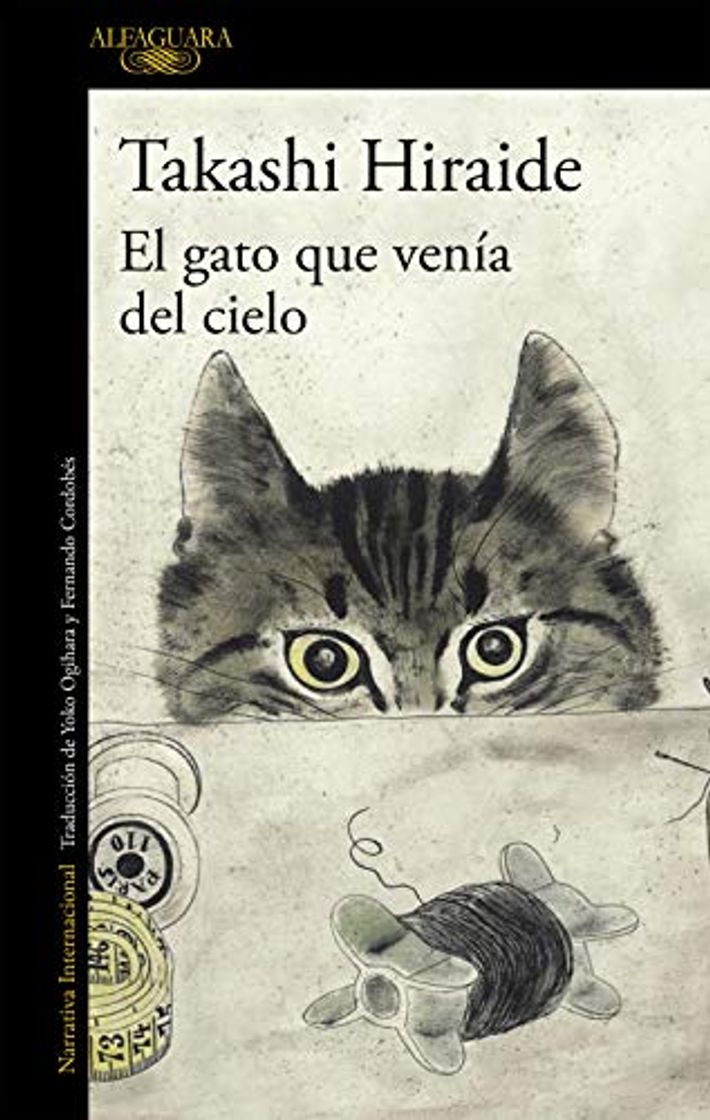 Libro El gato que venía del cielo