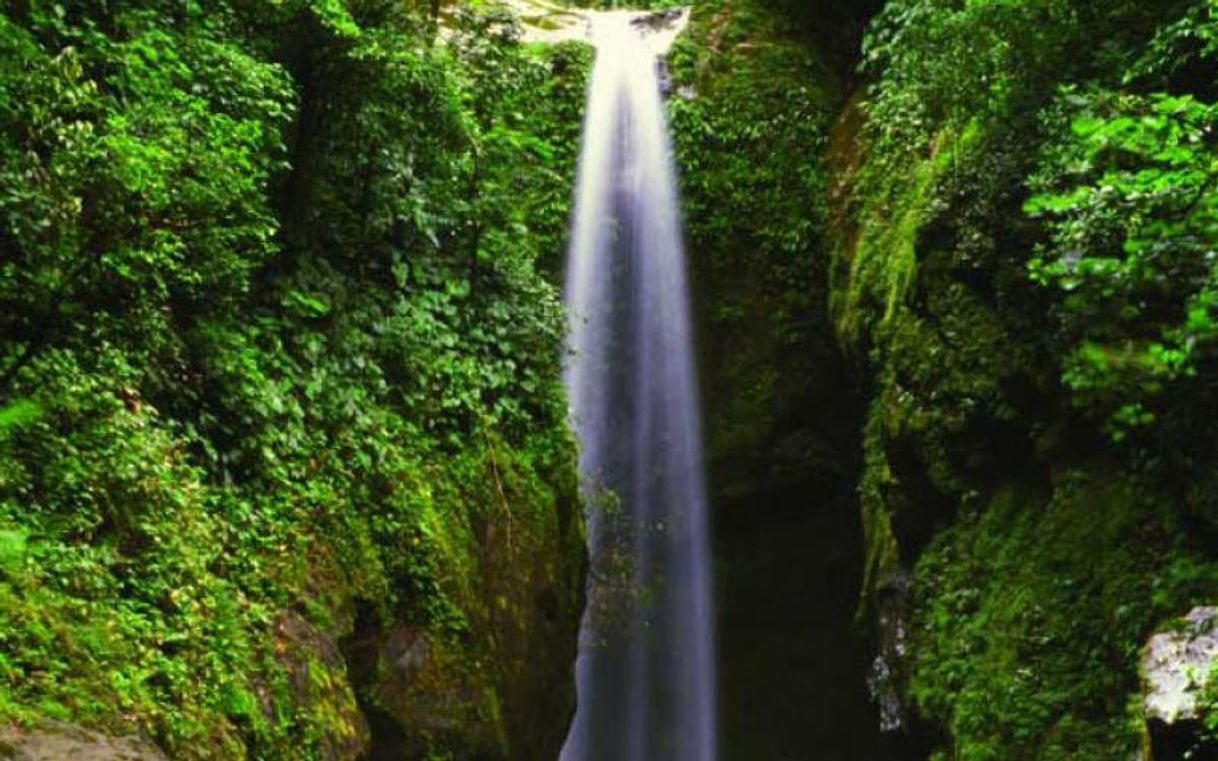 Lugares Parque nacional Pico Bonito