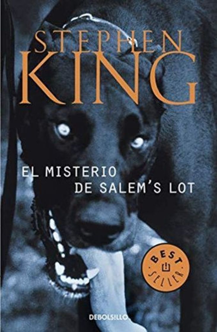 Libro El misterio de Salem's Lot: 102