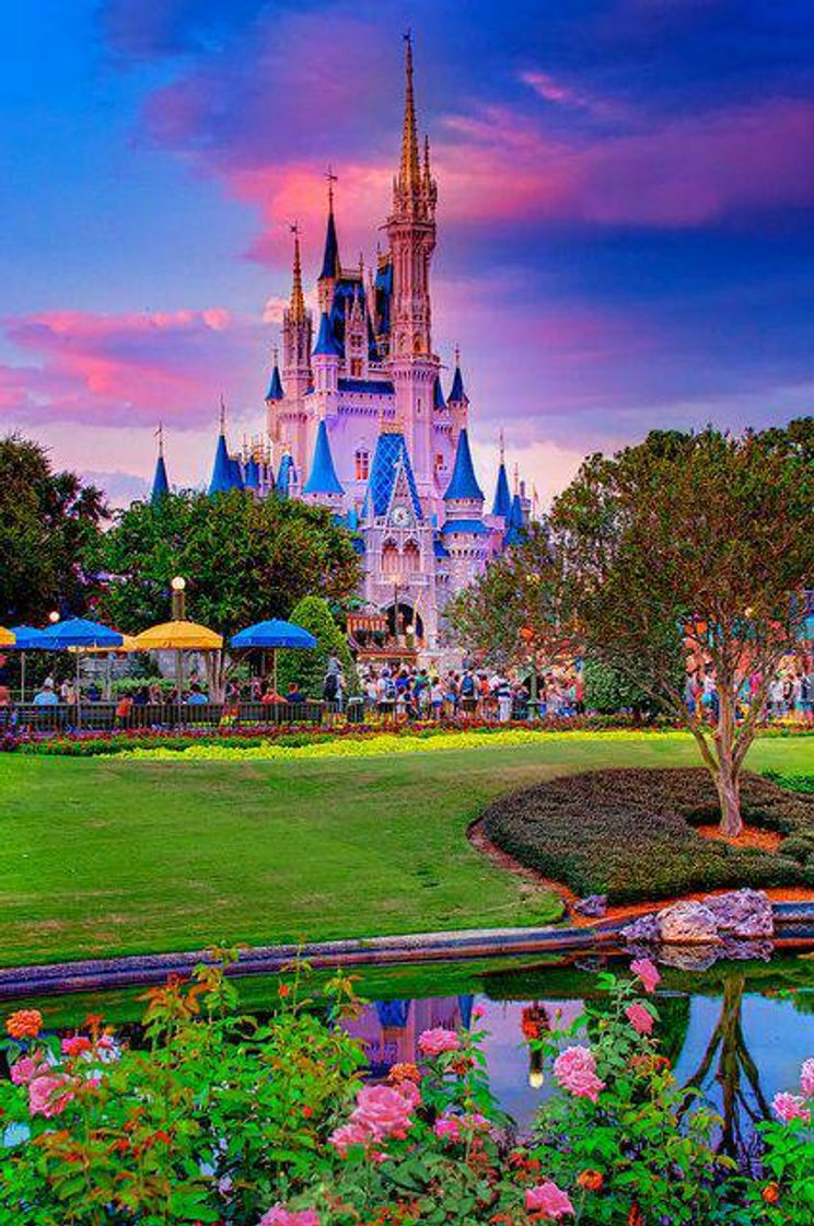 Moda Magic Hour Magic Kingdom