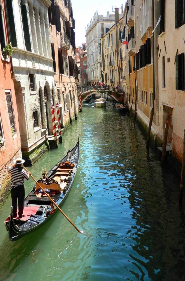 Social Veneza! 