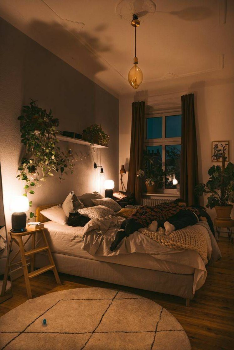 Social Room aesthetic 