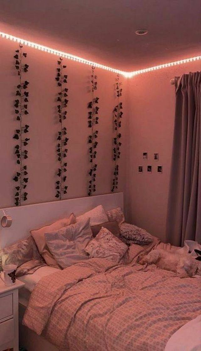 Social Room aesthetic 