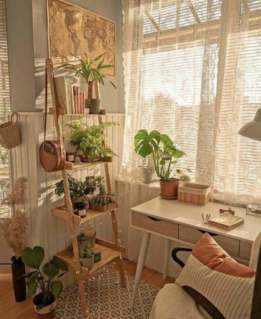 Social Room aesthetic 