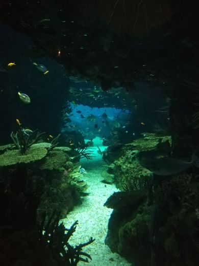 Oceanário de Lisboa