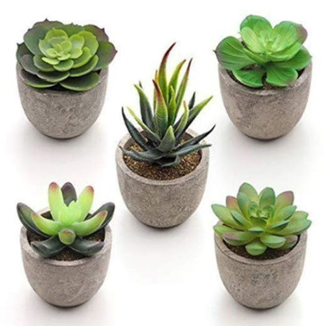 Product SONGMICS Plantas Suculentas Artificiales en Maceta