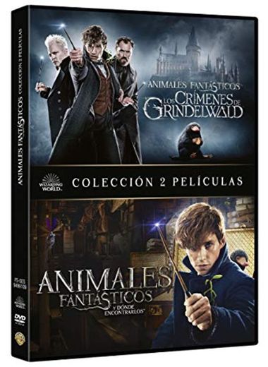 Animales Fantasticos Y Como Encontrarlos