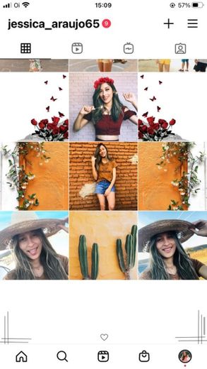 Feed organizado 