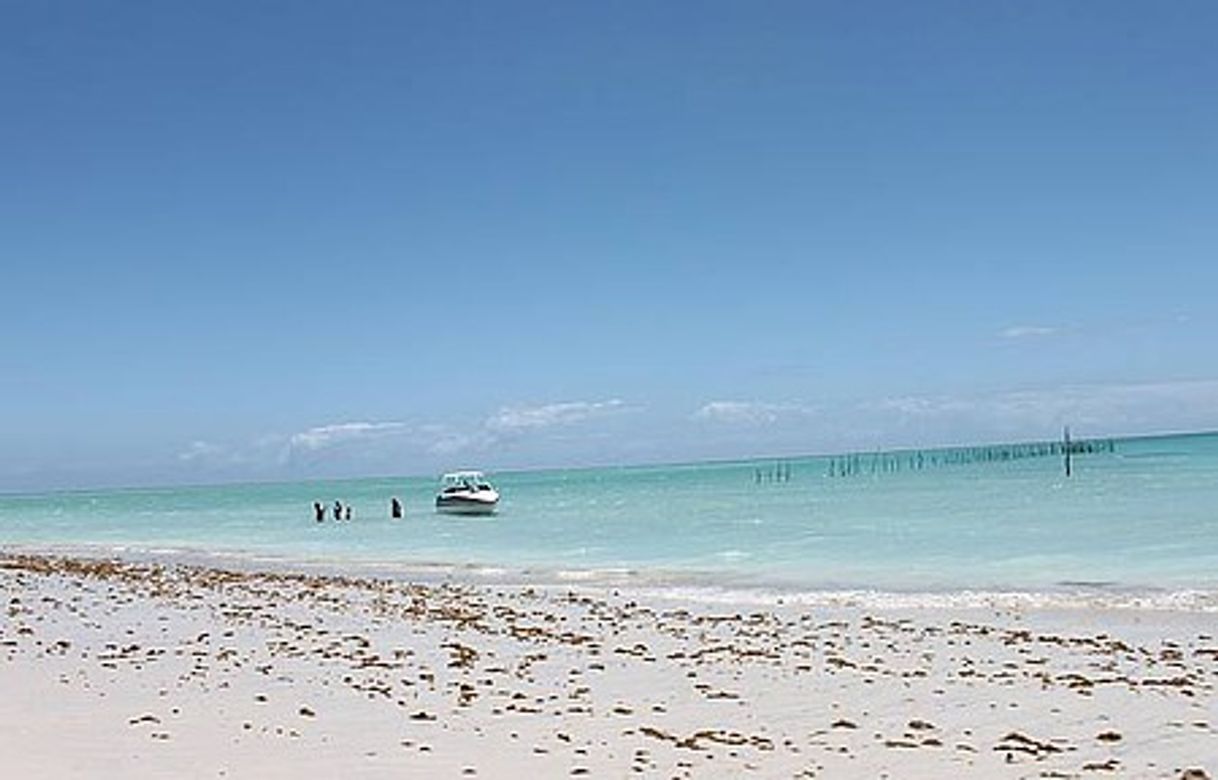 Lugar Praia de Xareu