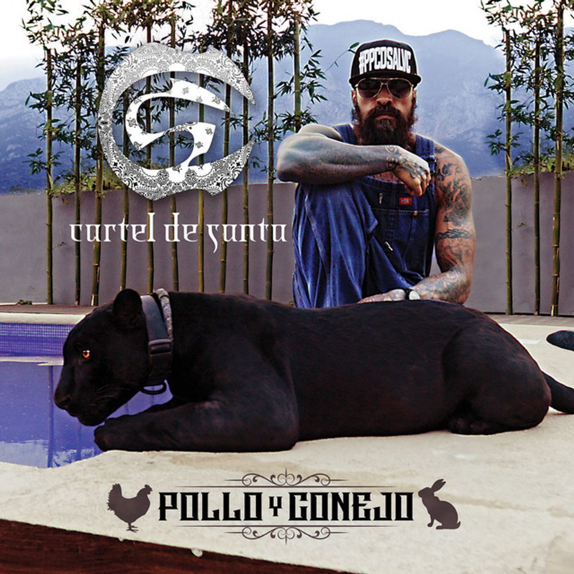 Music Pollo y Conejo