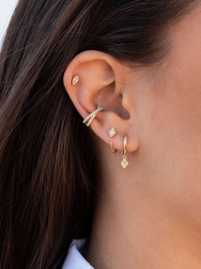 Social CONCH