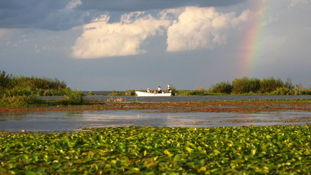 Lugar Esteros del Iberá