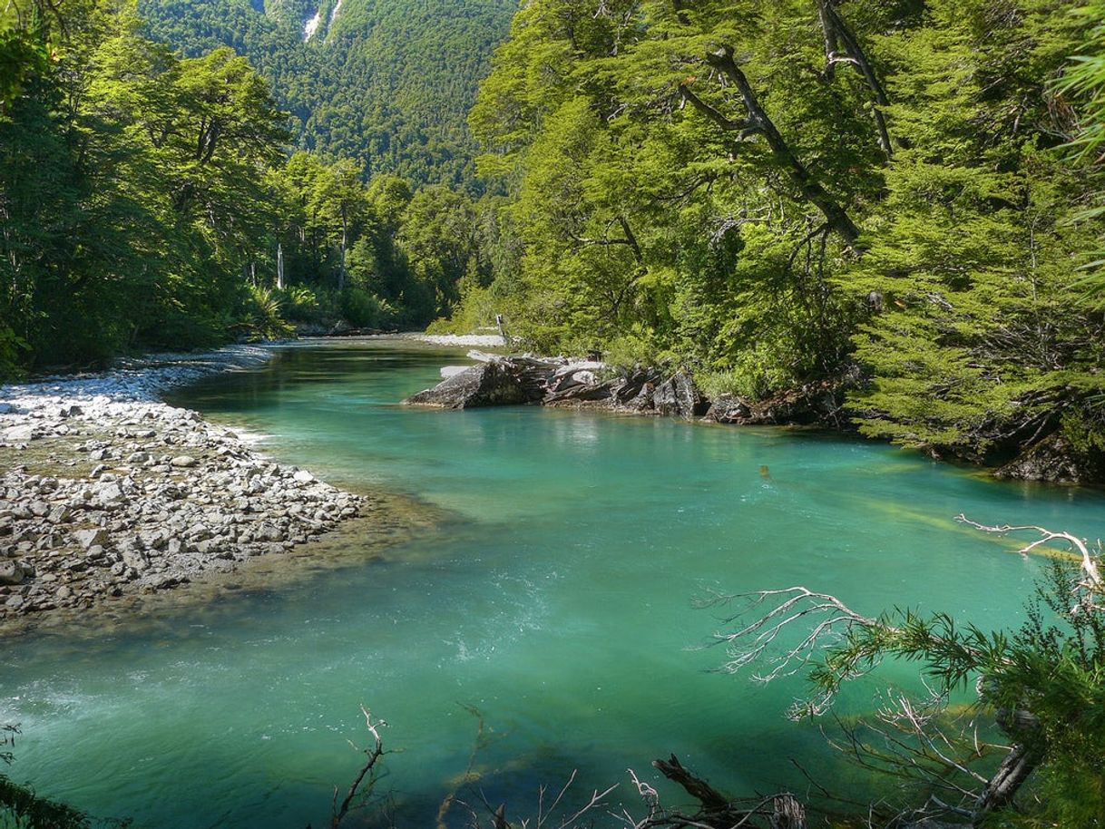 Lugar Parque Nacional Los Alerces