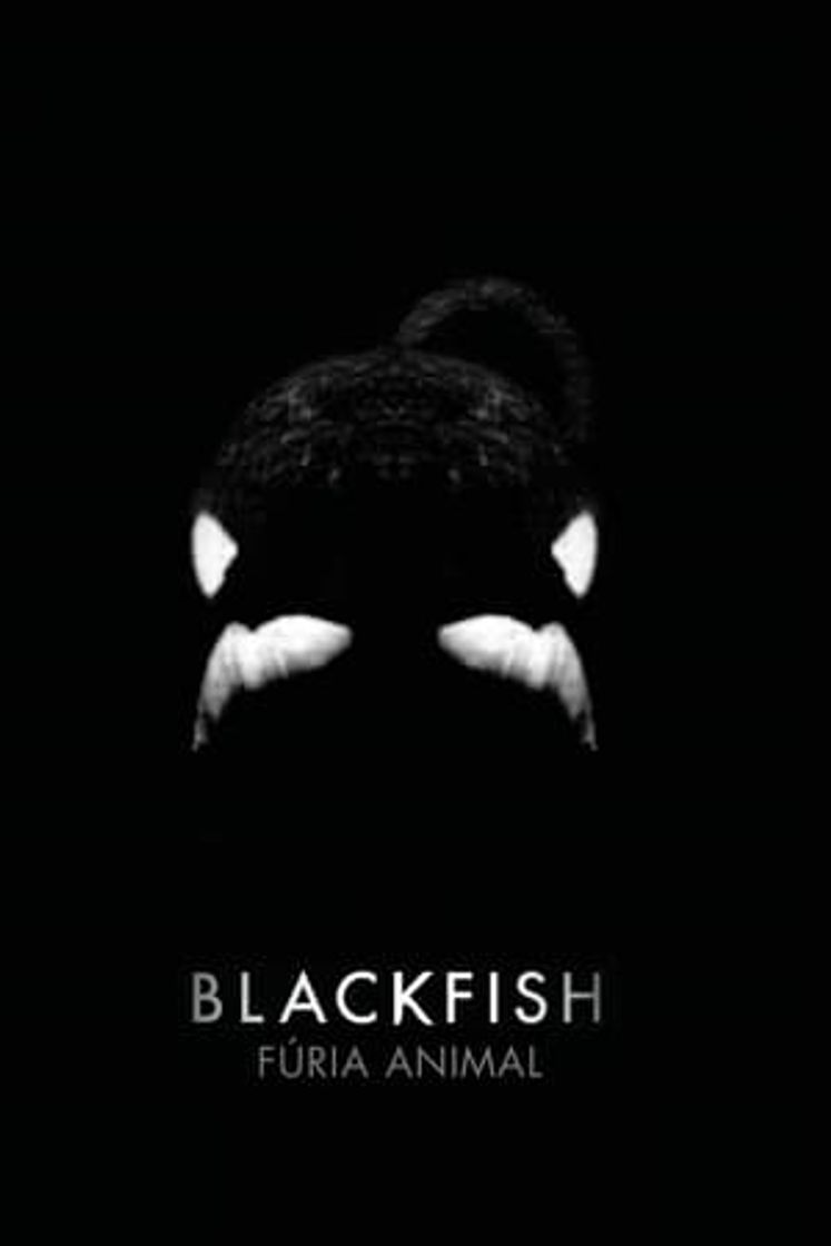 Película Blackfish
