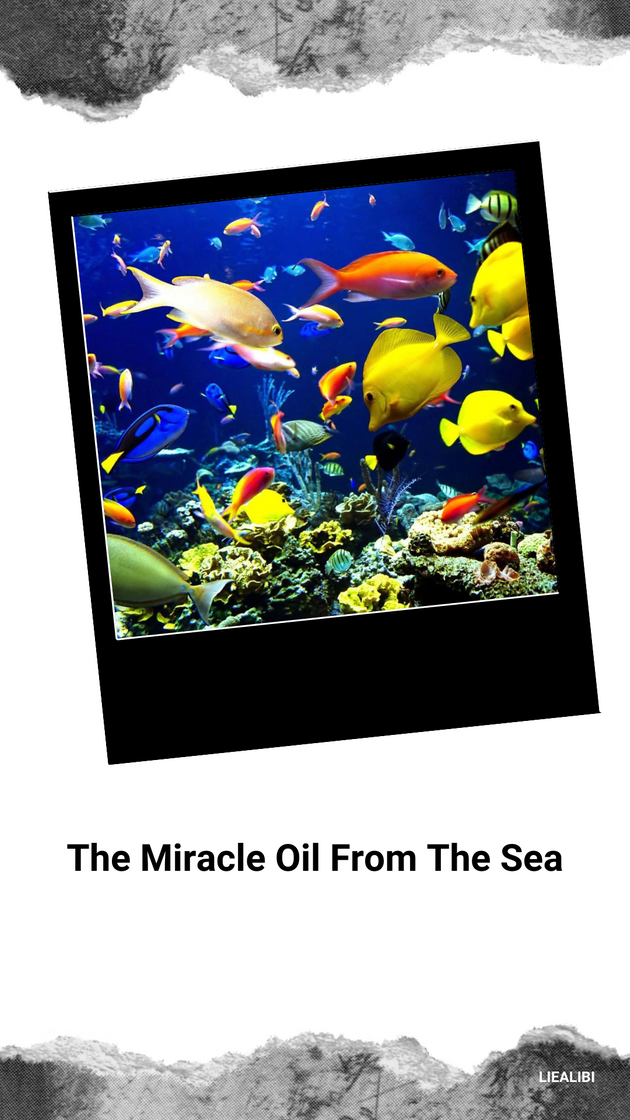 Fashion The Miracle Oil From The Sea