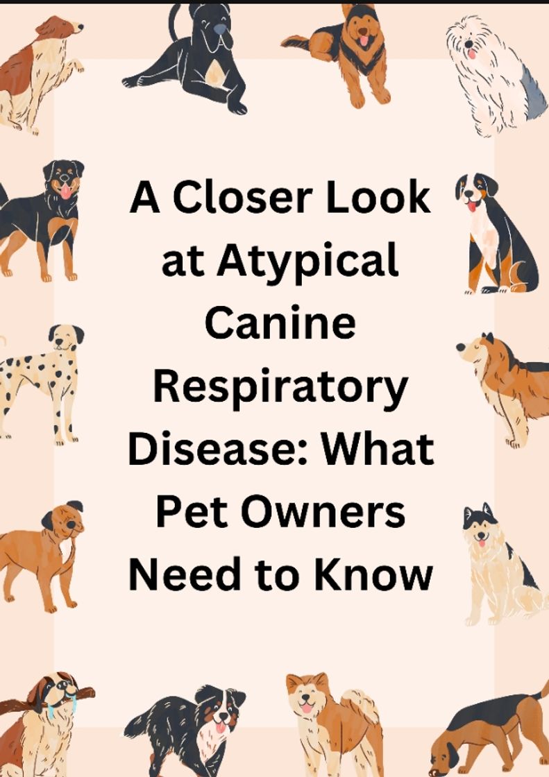 Fashion .A Closer Look at Atypical Canine Respiratory Disease: What Pet Owners Need to Know