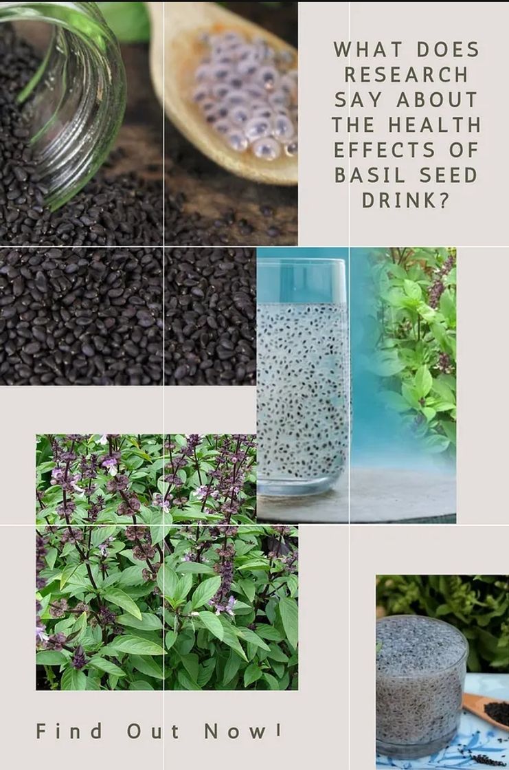 Fashion .What Does Research Say About the Health Effects of Basil Seed Drink? Find Out Now!