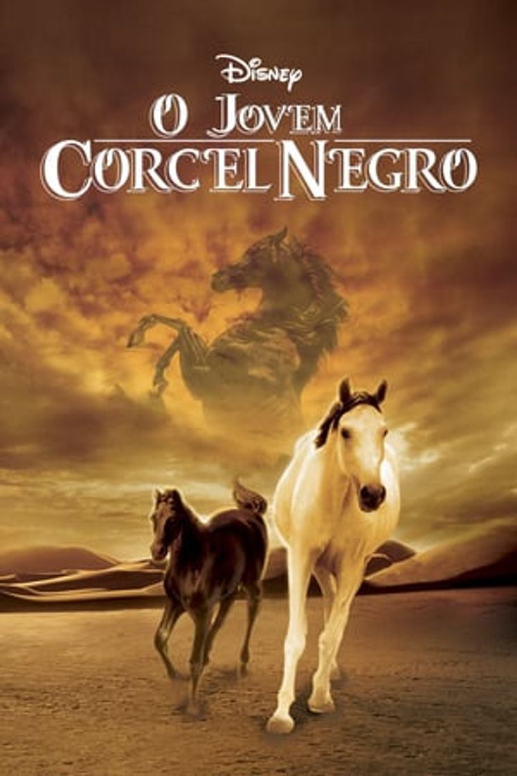 Movie Shetan, el caballo del desierto