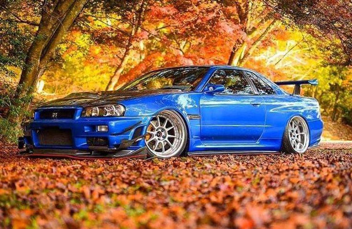 Fashion Skyline r34