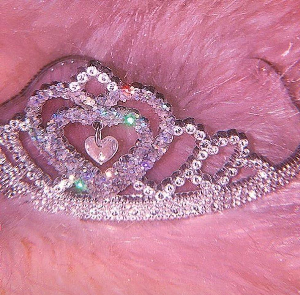 Social Pink 