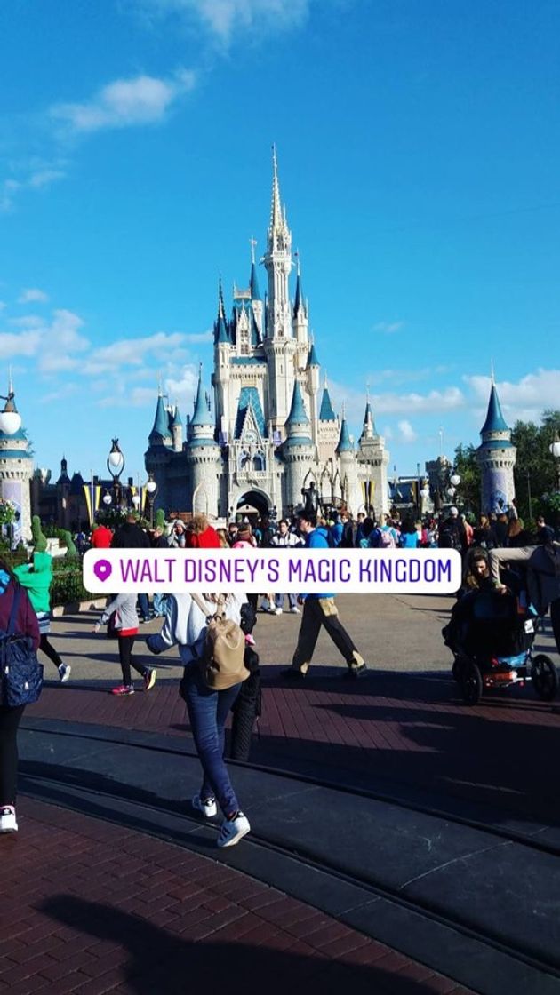 Place Magic Kingdom