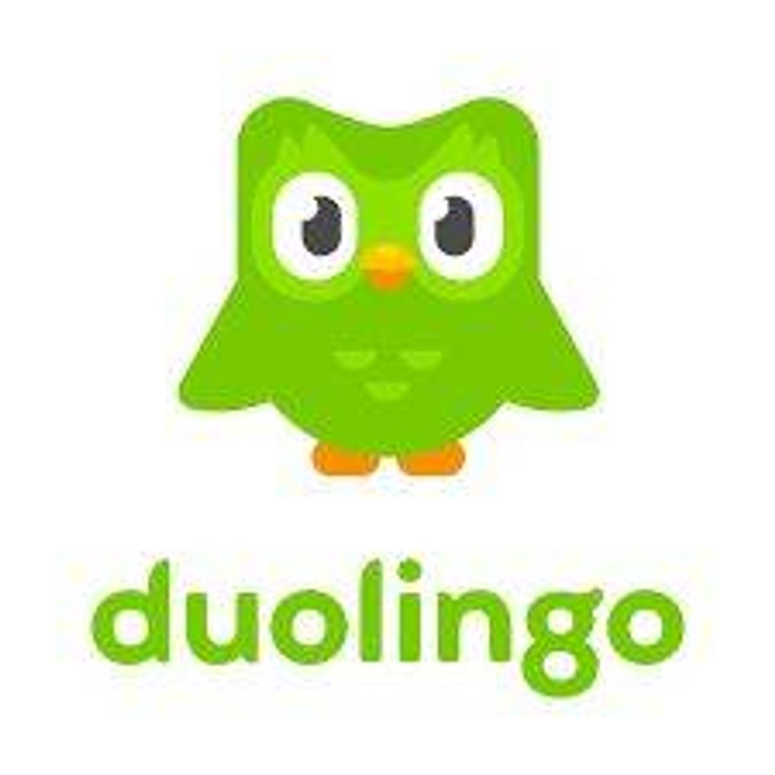 App Duolingo